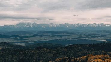 Received 1146895069109348