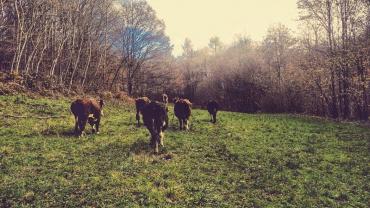 131682452 402801944107097 747252554944505041 N