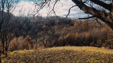 131753397 819878112194449 4980439522951938978 N