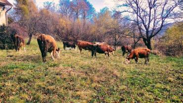 131757956 1571788736344951 6968028504362843894 N