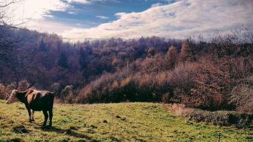 131889405 857339861697706 9182150106382319703 N