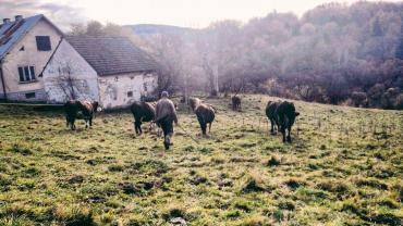 131890669 543186753305618 8214400929269494583 N