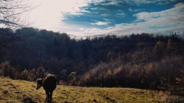 131890799 426247241731245 2522432434027918239 N