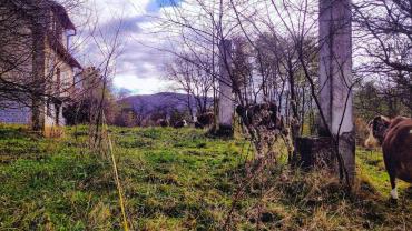 131893230 734742923814362 6572768886106793585 N