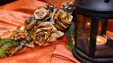 131976902 224613145848532 3083483214029617817 O