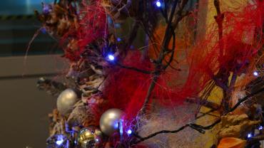 131994649 224613532515160 3159217205331294754 O