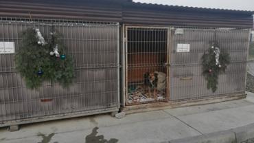 132193025 226162362308634 3548632532870063417 N