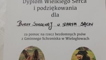 132551805 237043881113027 4828864777506055329 N