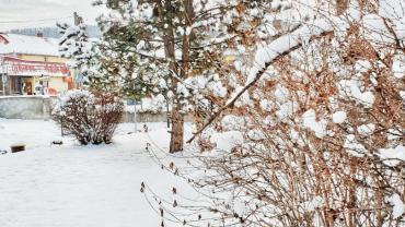 139345262 3871576226213821 2537435494758153540 O