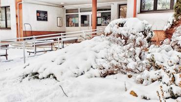 139353407 3871576836213760 21911128093251661 O