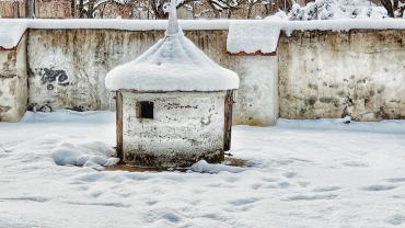 139576423 3871576149547162 802414533815648848 O