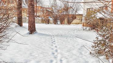 139639299 3871576359547141 1640252600384016355 O