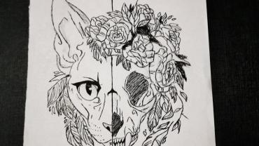 142743105 248257136817466 6645979572501653414 O