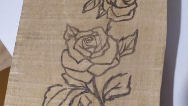 142818505 248264816816698 8877112208883875792 O