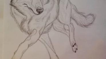 143344445 248258396817340 4306490852566417105 N