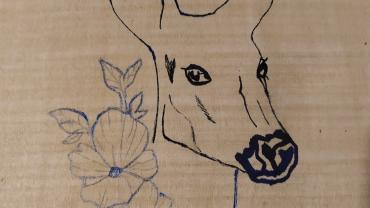 143419234 248264446816735 1423851363959838668 O