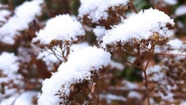 143077018 1139236836513949 6632229367869991783 N 1