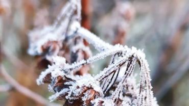 143092007 461619938346159 1820777443195912815 N