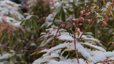 143118484 211781430625522 3460083440094632043 N