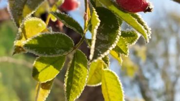 143213138 444442946749942 7472797359523743381 N