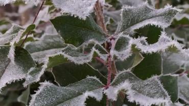 143221421 428828094992570 8398506261956801182 N