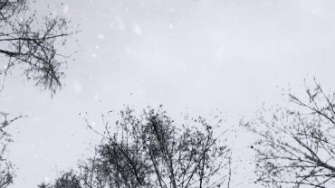 143231914 244240973922829 5072690884593060684 N