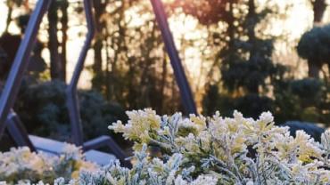 143263629 430445908196859 4900793638704338181 N