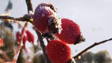 143267237 449082993170655 9194046793219632739 N