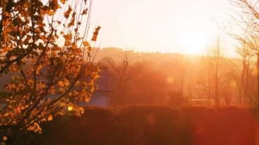 143383373 444216526613419 2728900864092869681 N