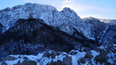 133690149 411380273434050 7773910034787785011 N