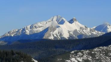 133869667 3707867492603438 2690343790951565745 N