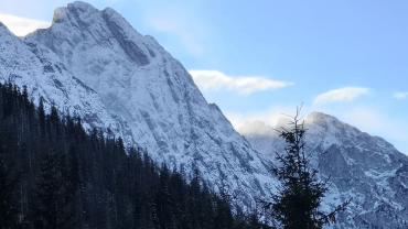 133877762 113163817255889 1671136612789046725 N