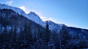 134454218 1040342336392910 3554570196389048139 N