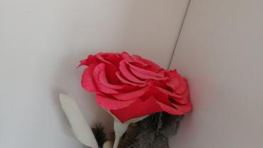 173541612 298263338483512 1625086265027921118 N