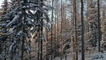 173643712 10215100977596516 5701575482166562608 N