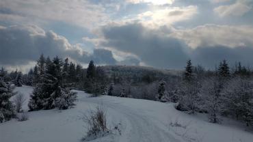 173758686 10215100976516489 3620262048146924196 N