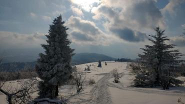 173955245 10215100975316459 277070727824143581 N