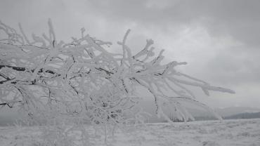 173955246 10215100974836447 7036036382997812533 N