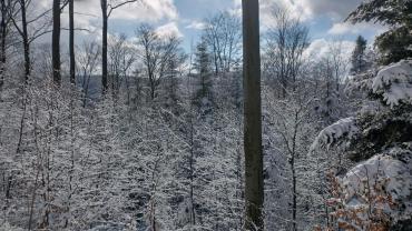 174013057 10215100977236507 437360347756635967 N