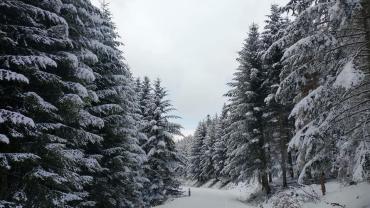 174094650 10215100975796471 273328664099487684 N