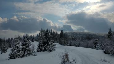 174208553 10215100974516439 5104776719311292763 N