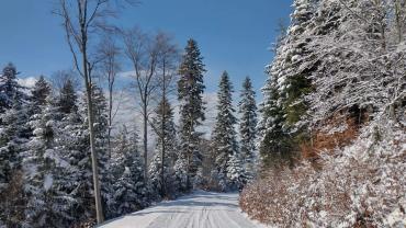 174415271 10215100976116479 4811317964319250632 N