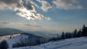 174429532 10215100973996426 1749624758291751323 N