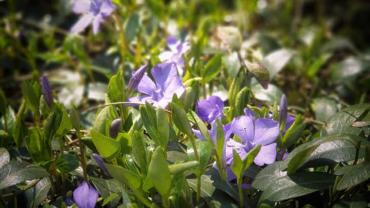 182472755 10215214226107658 7626017286146971025 N