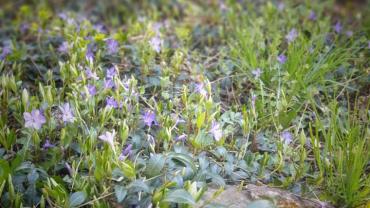 182500520 10215214226747674 8011256444400980962 N