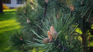 182525765 10215214224987630 1175791016434628822 N