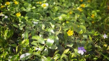 182641332 10215214226467667 4308899237427800051 N