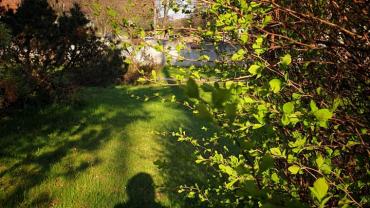 182668692 10215214225187635 1977510813776382243 N