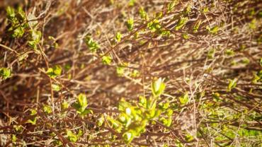 182723892 10215214225667647 8553637305580002571 N