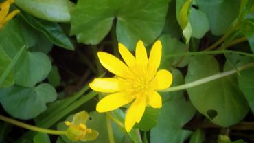 182747004 10215214229827751 7518014969585651405 N